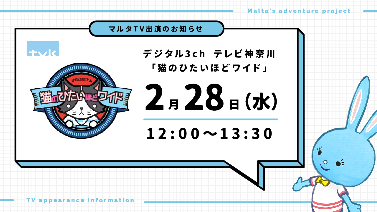 マルタの冒険出演「猫のひたいほどワイド」