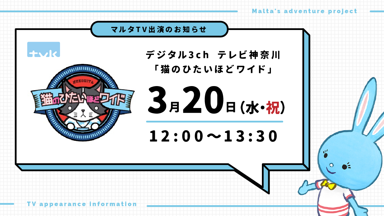 マルタの冒険出演「猫のひたいほどワイド」