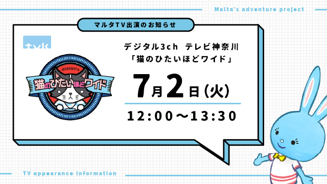 テレビ出演のお知らせ：tvkお昼の情報番組「猫のひたいほどワイド」