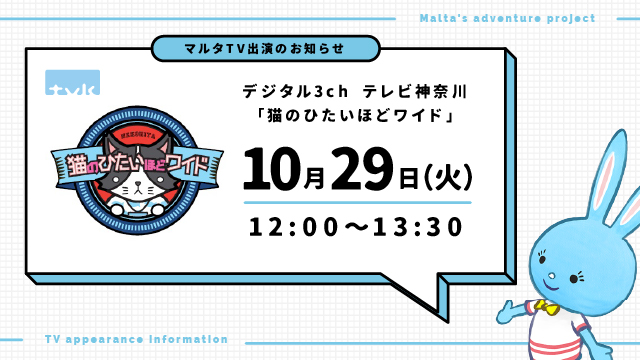 マルタの冒険出演「猫のひたいほどワイド」